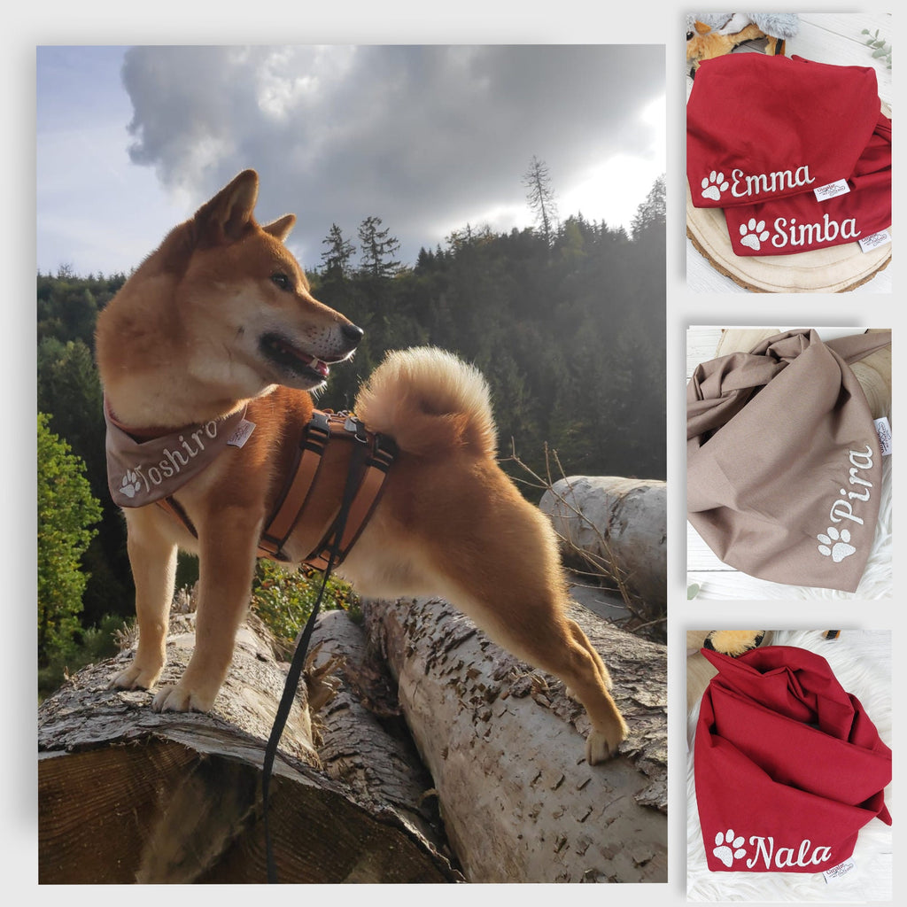 Hundehalstuch mit Name & Pfote • Wendehalstuch