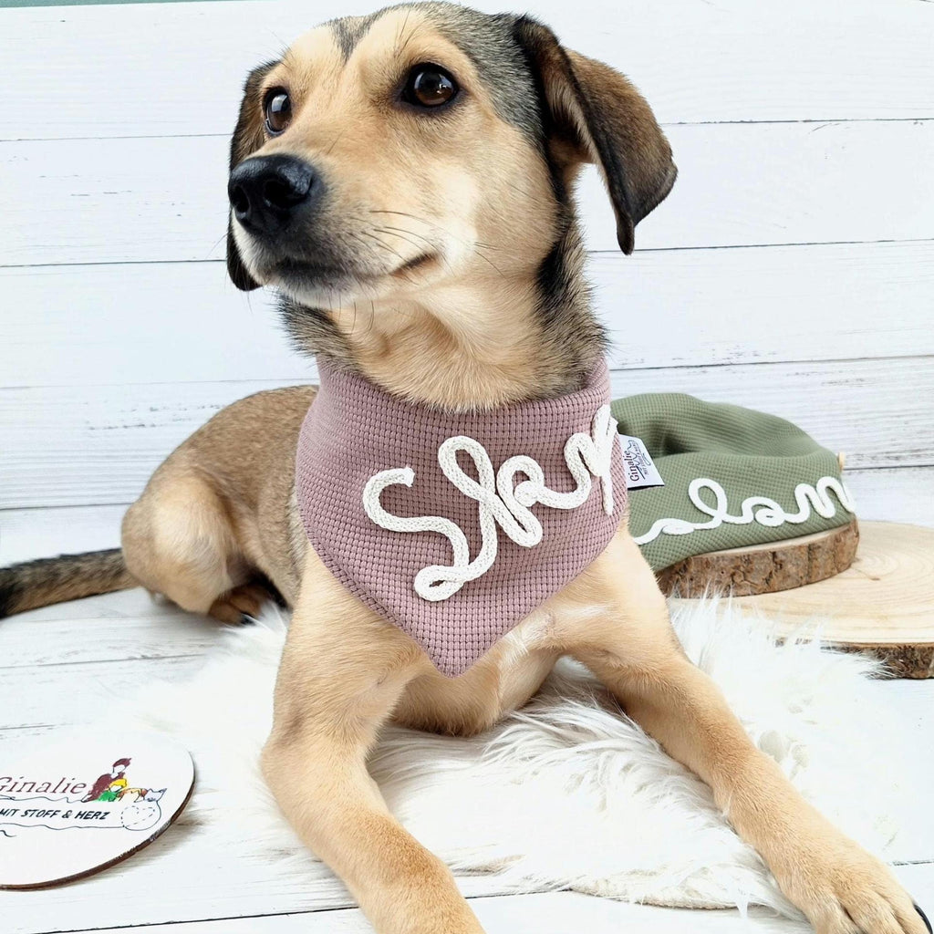 Personalisiertes Hundehalstuch • Mit Kordelname