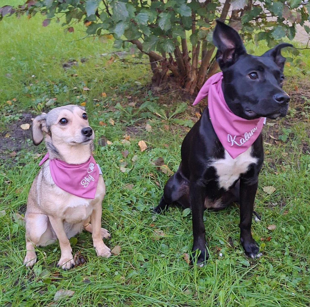 Personalisiertes Hundehalstuch • Wendbar