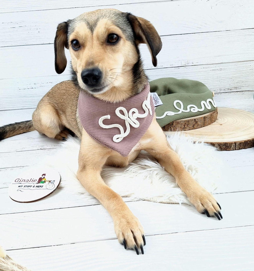 Personalisiertes Hundehalstuch • Mit Kordelname