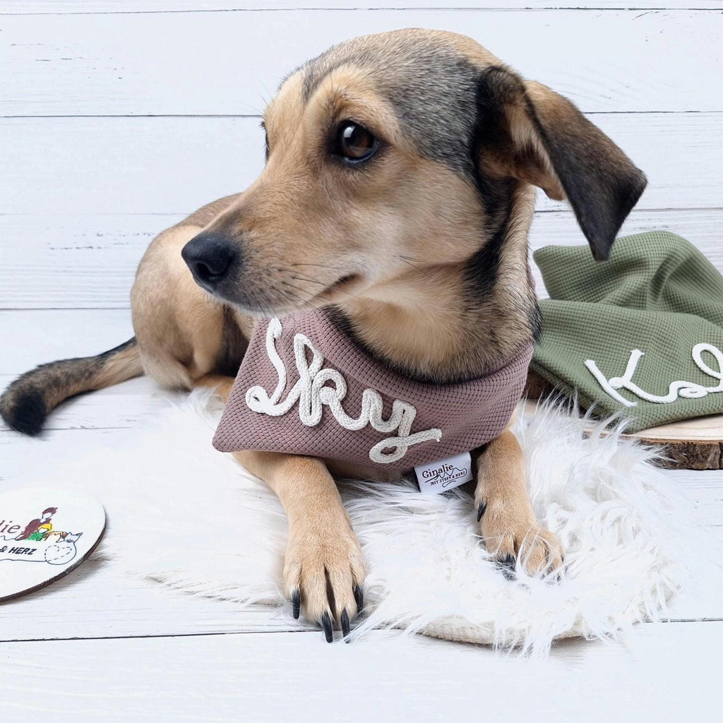 Personalisiertes Hundehalstuch • Mit Kordelname