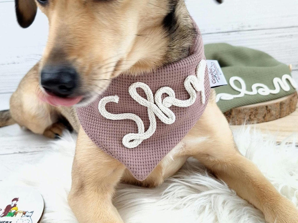 Personalisiertes Hundehalstuch • Mit Kordelname