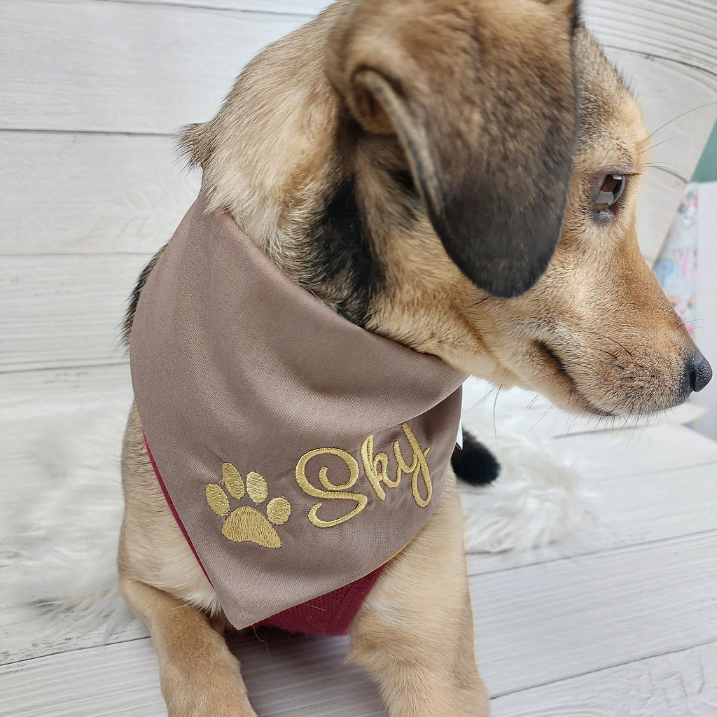 Hundehalstuch mit Name & Pfote • Wendehalstuch